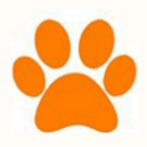 Abc Zoo