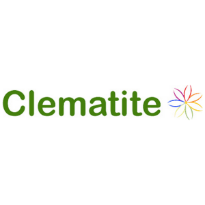 Clematite