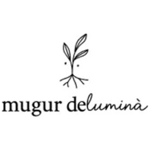 Mugur de Lumină