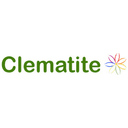 Clematite