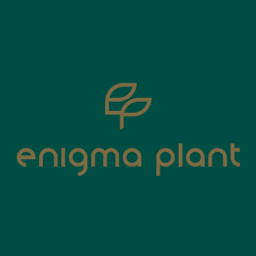 Enigma Plant